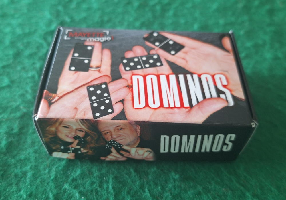 Dominos - Dominique Duvivier 