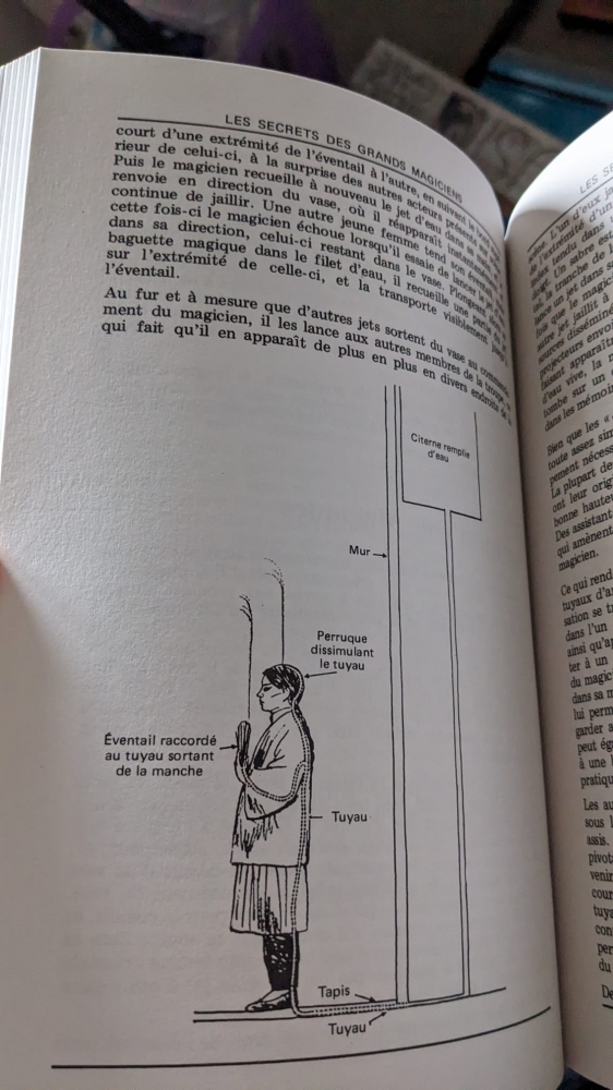 Les Secrets des Grands Magiciens