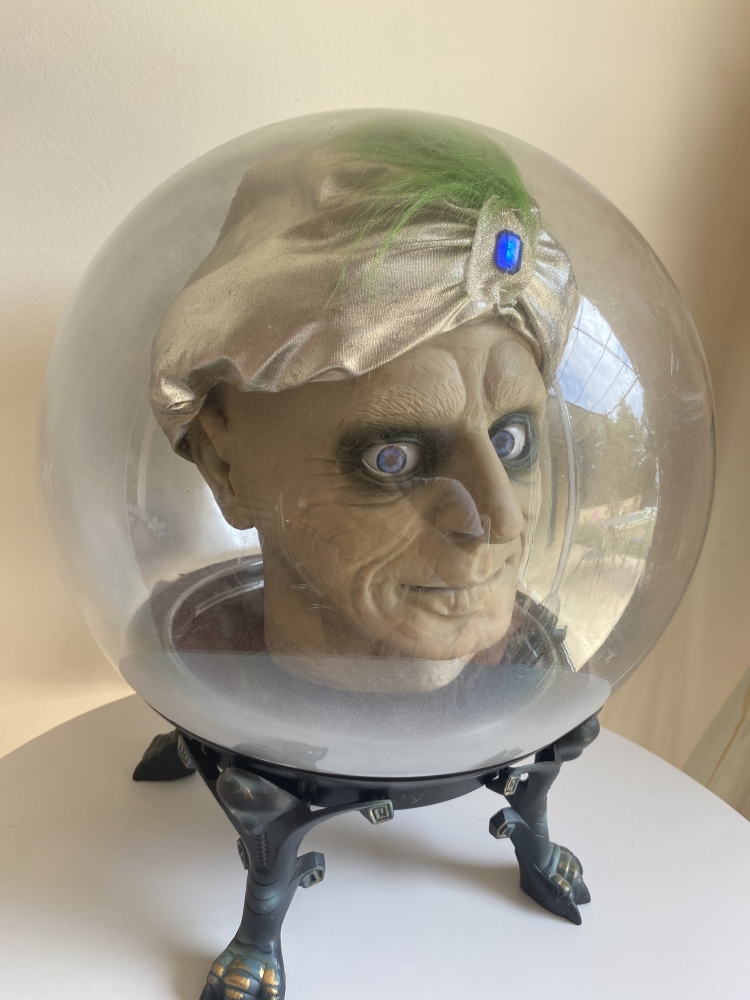 Mage Zygor tête parlante 