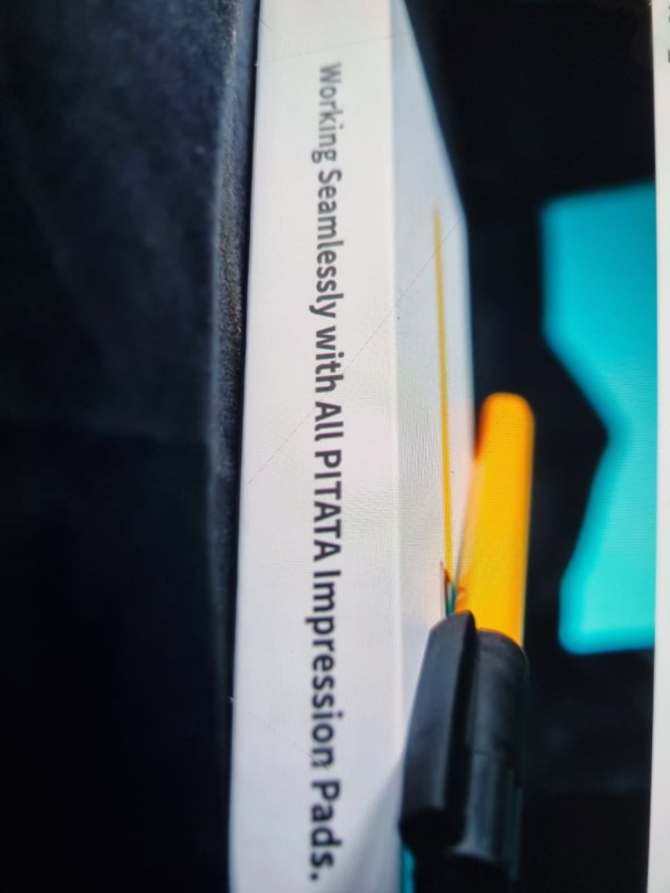 Palm Peeker, Stylo à bille + cadeau 