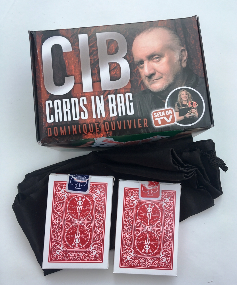 Cards in Bag  dominique duvivier  VENDU   