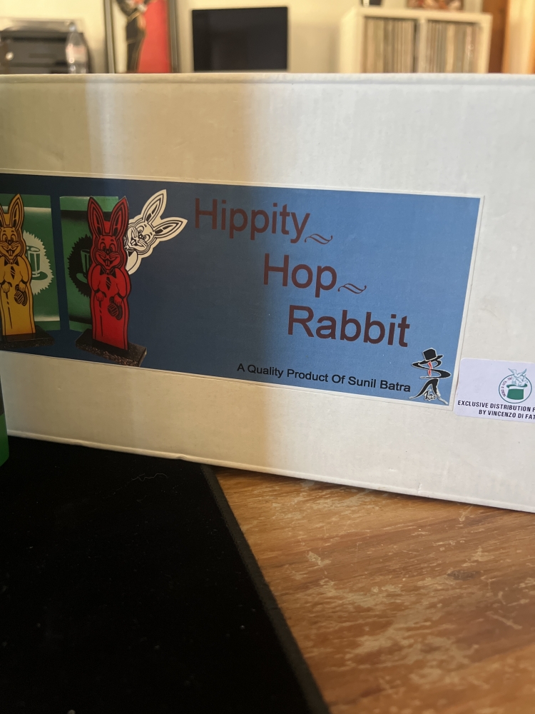 Hippity Hop Rabbit