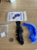 FEATHER THRU COIN by Roy Kueppers
