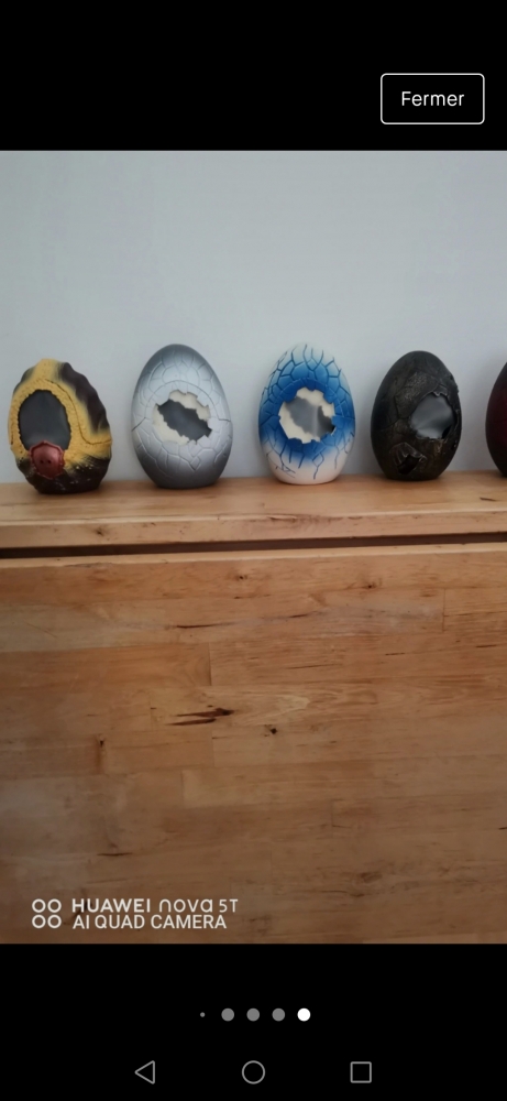 oeuf de dragon avec dragon