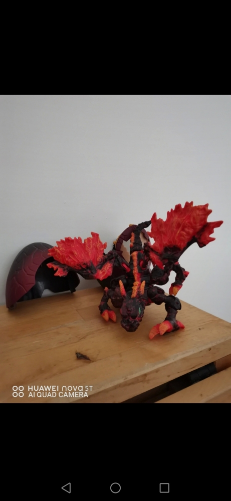 oeuf de dragon avec dragon