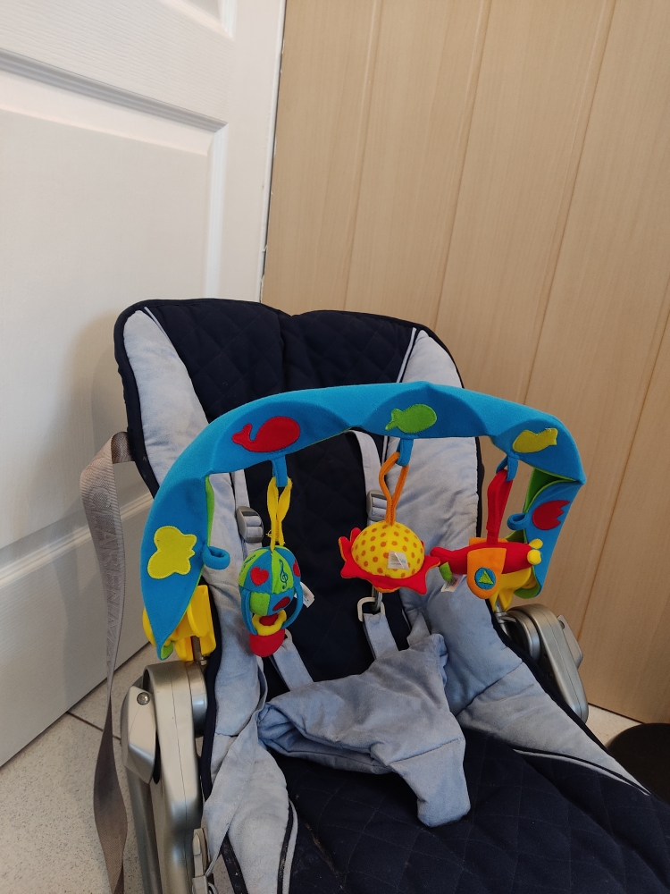 Arche activités bébé Tiny love