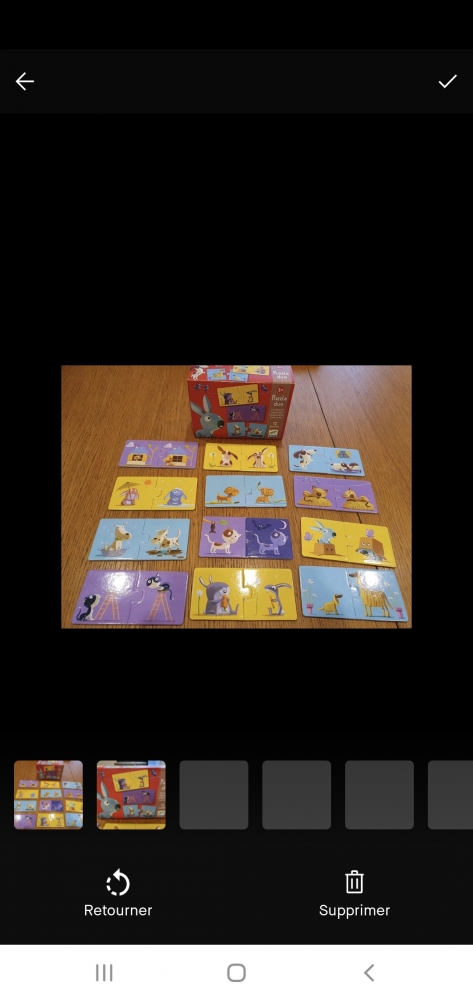 Puzzle duo des contraires Djeco