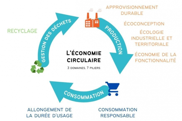 economie circulaire bidull