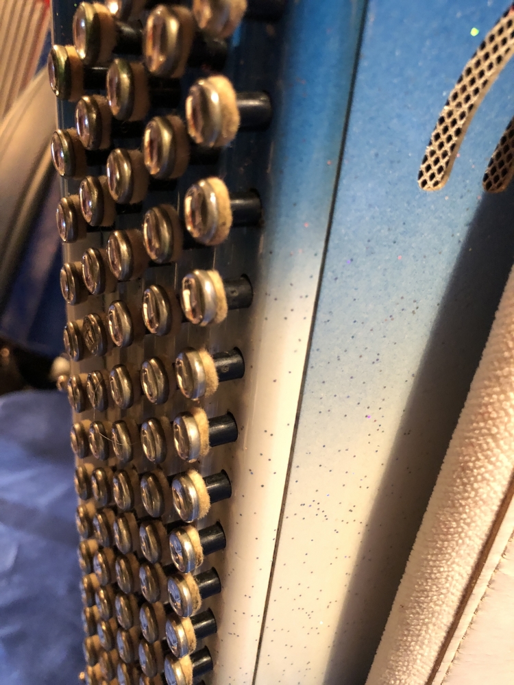 Accordéon chromatique Hohner Fun / Bleu Blanc