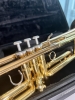 Trompette Yamaha YTR 4335 GII