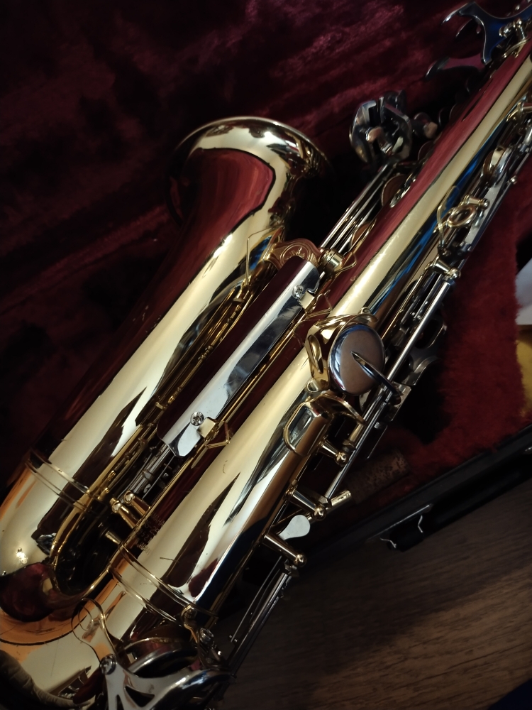 Saxophone alto Yamaha YAS25 occasion