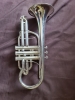 Cornet Sib SML Paris CO870-S