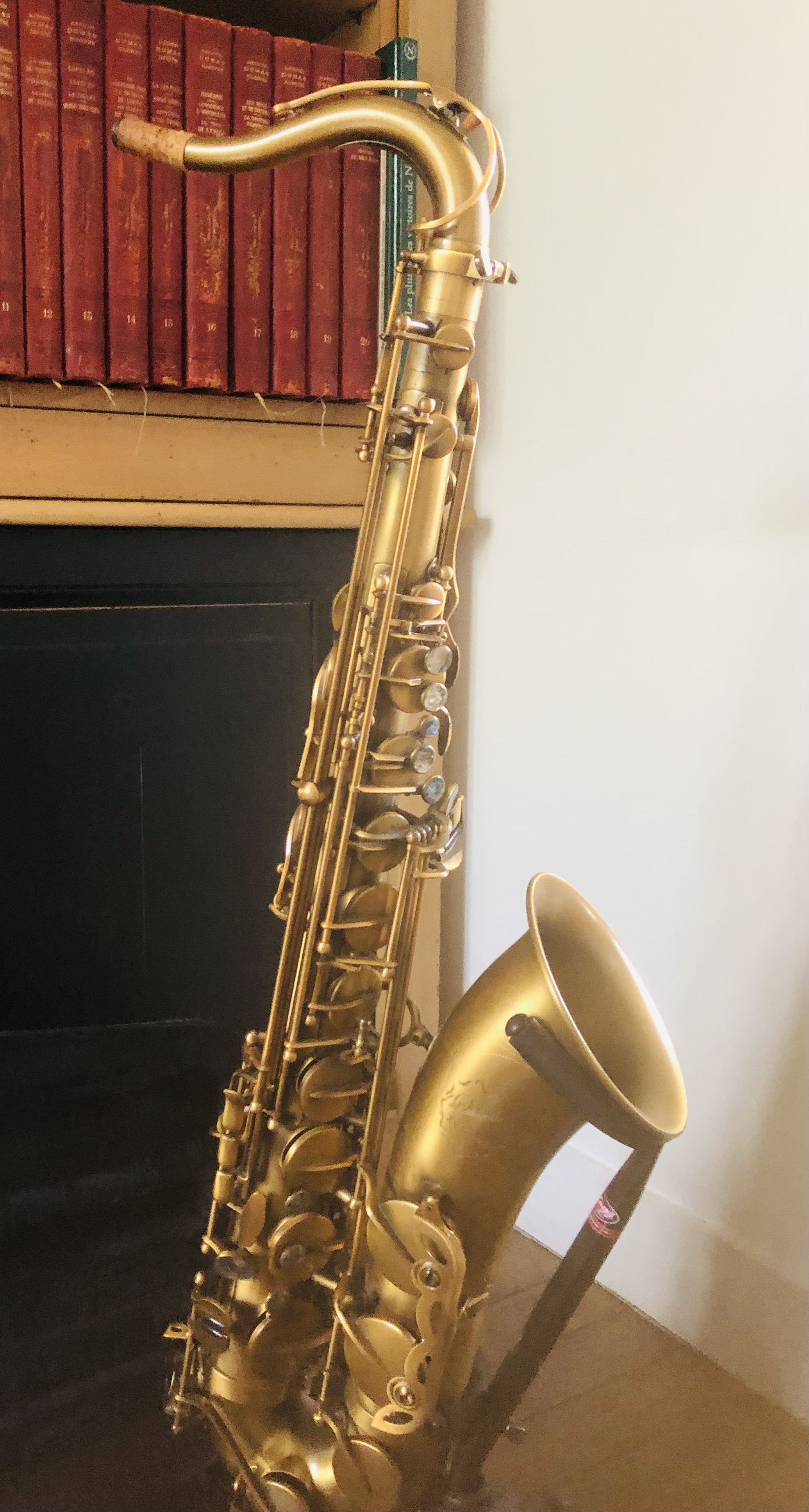 Saxophone ténor Donostisound XSVintage occasion