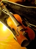 Violon 4/4 de luthier (J.L Blivet 1997)