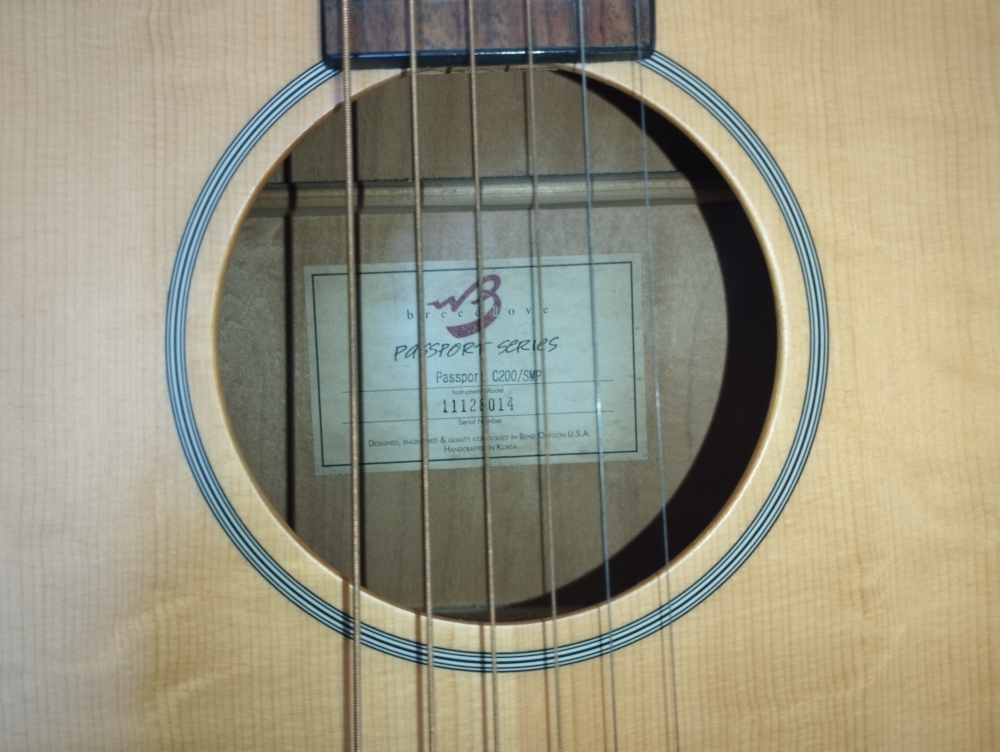 Guitare acoustique Breedlove Passport C200/SMP