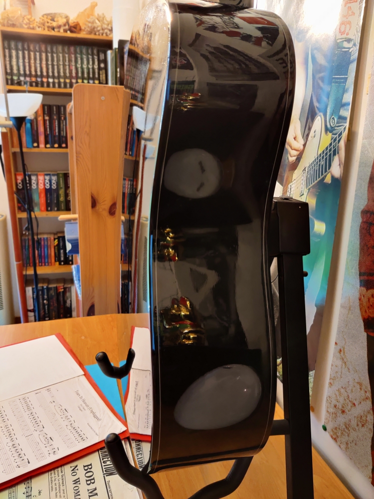Guitarde Fender avec accessoires