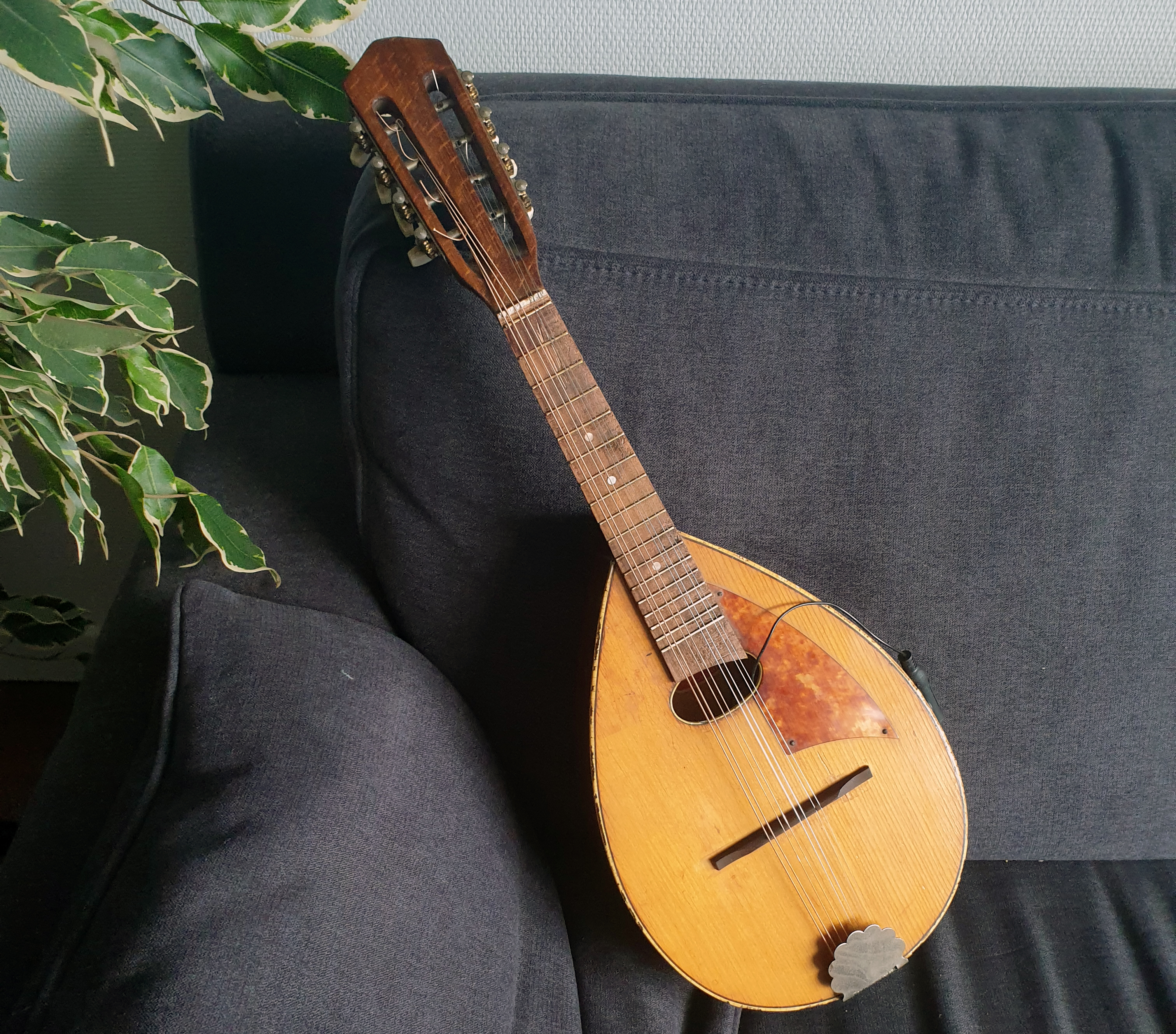 Mandoline Cremona Bon état -  reconditionné disponible sur Zic Ethic