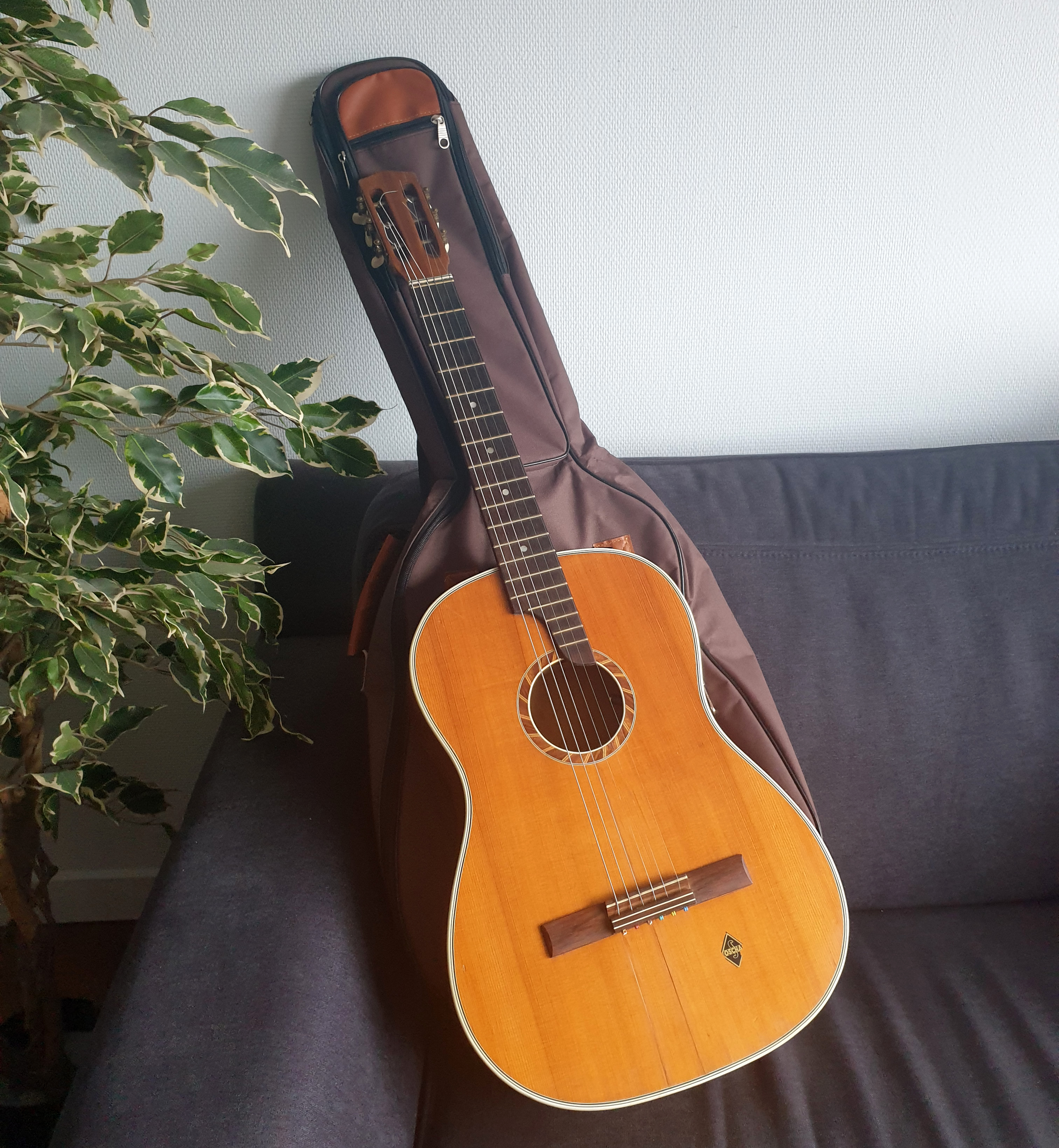 Guitare acoustique Isana Oscha   -  reconditionné disponible sur Zic Ethic