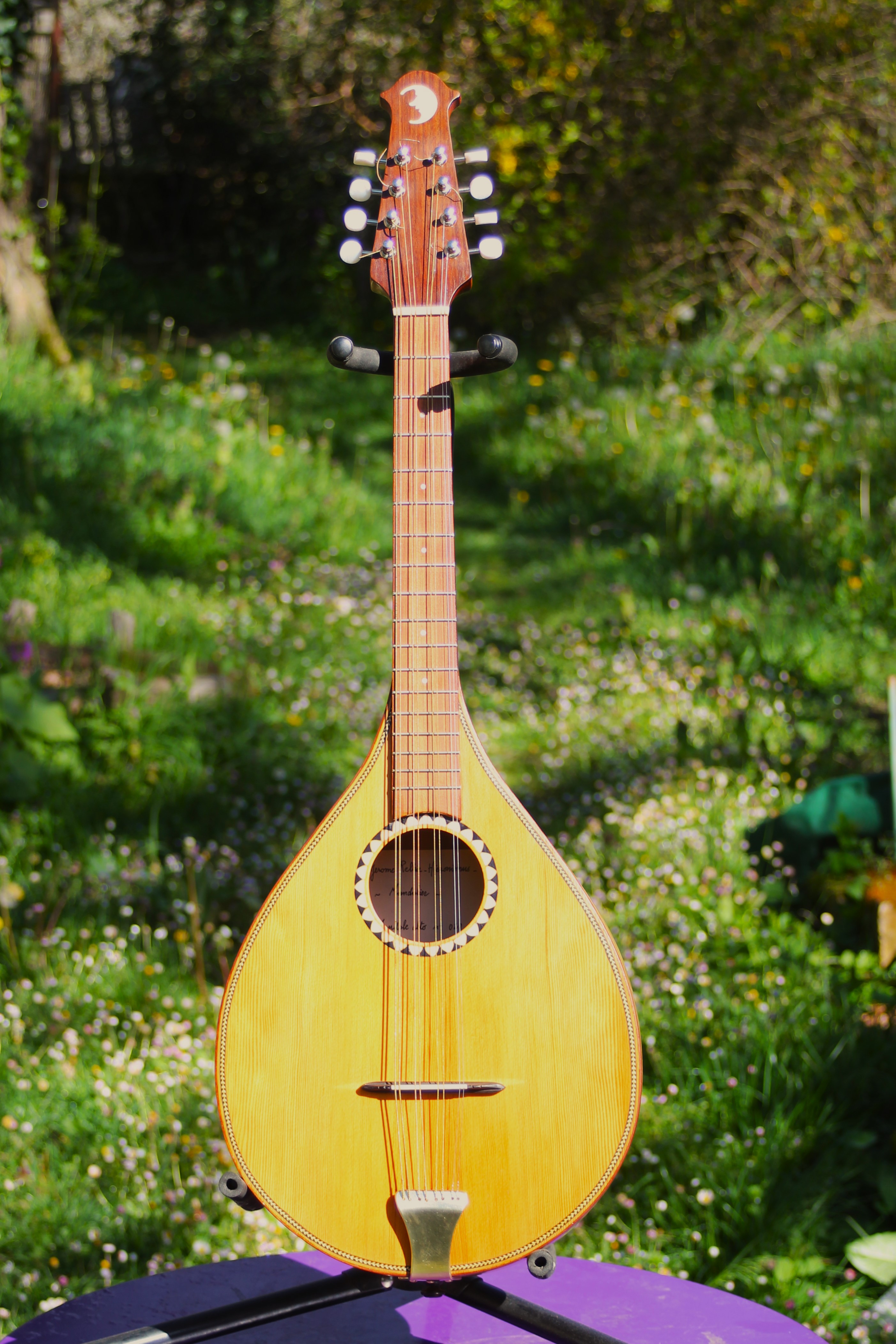 Acheter Mandole Alto Spiggle - 550,00 € Mandole Alto Spiggle - reconditionné disponible sur Zic Ethic