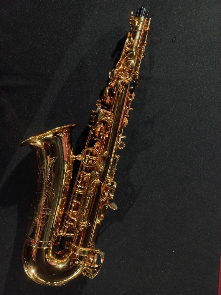 Saxophone alto Trevor James The Horn