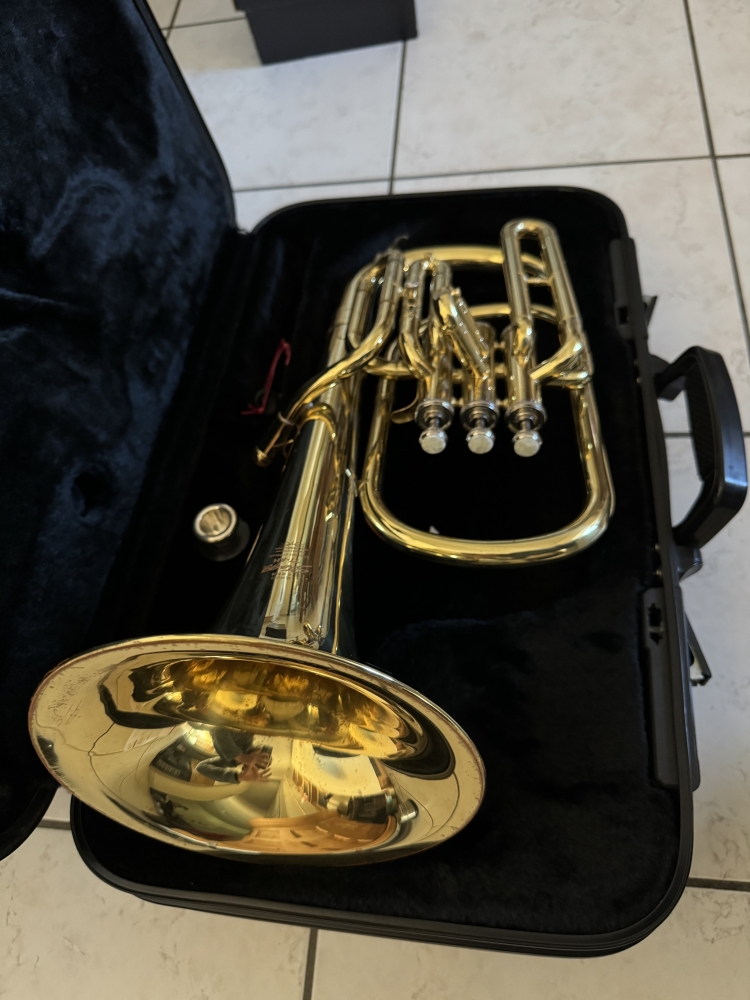 Saxhorn alto Stagg 77-AH