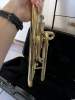 Saxhorn alto Stagg 77-AH