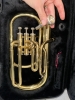 Saxhorn alto Stagg 77-AH