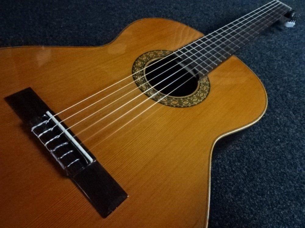 Guitare Classique Estève 1GR01