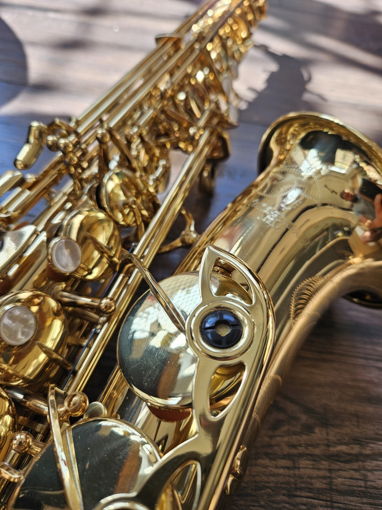 Saxophone alto Yanagisawa 901