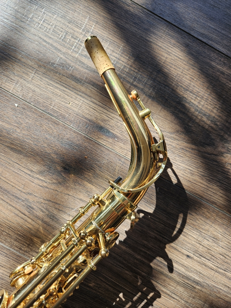 Saxophone alto Yanagisawa 901