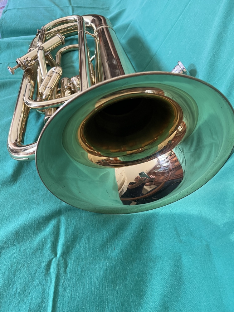 Euphonium Sib Wilson 2900TA