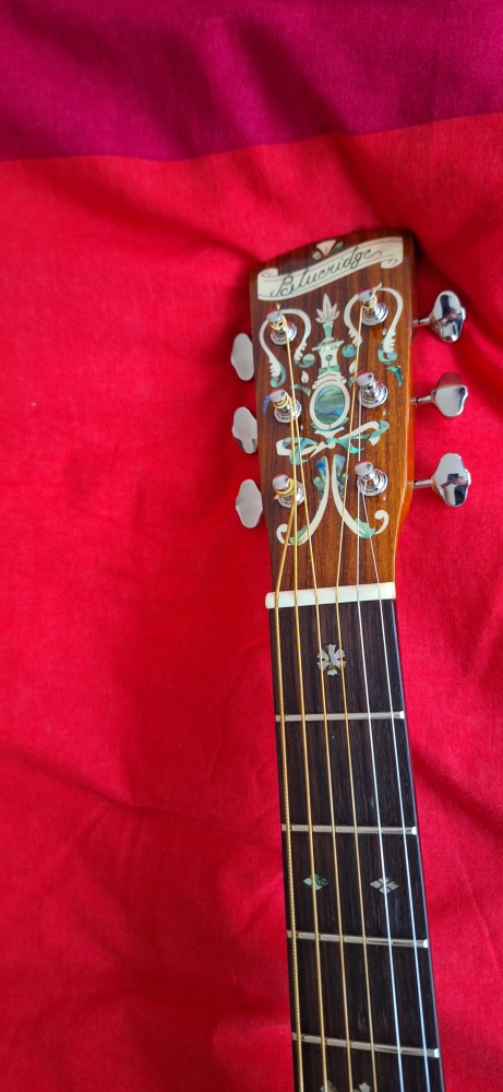 Guitare électro-acoustique Blueridge BR-163 
