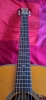 Guitare électro-acoustique Blueridge BR-163 