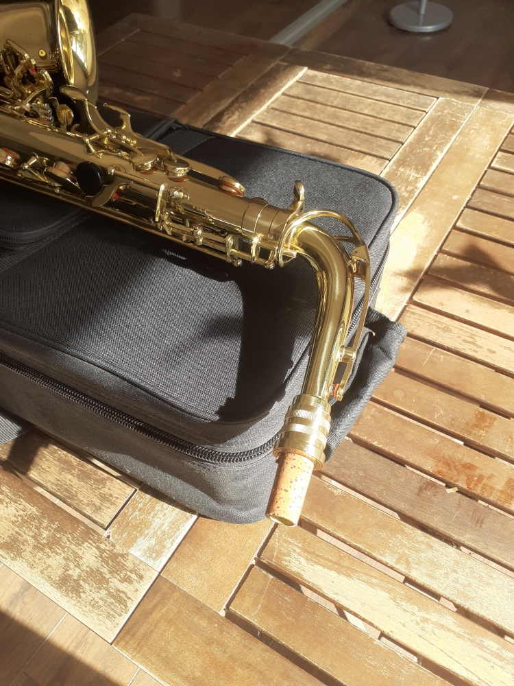 Saxophone Thomann CMS-600 L