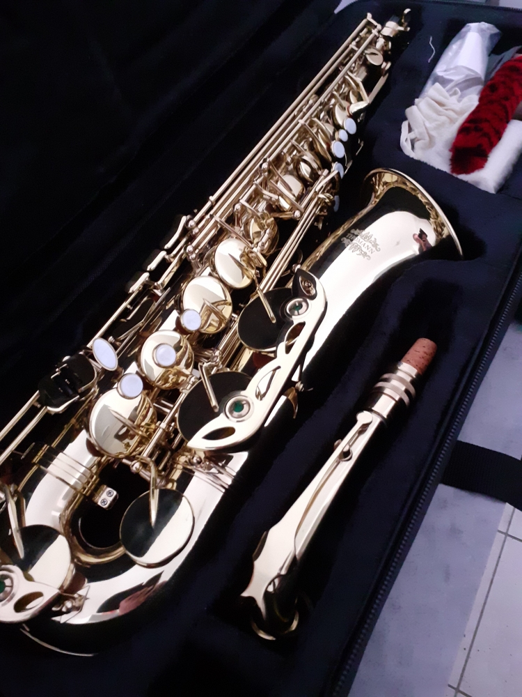 Saxophone Thomann CMS-600 L