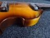 Basse Violin Klira 356 Twen Star