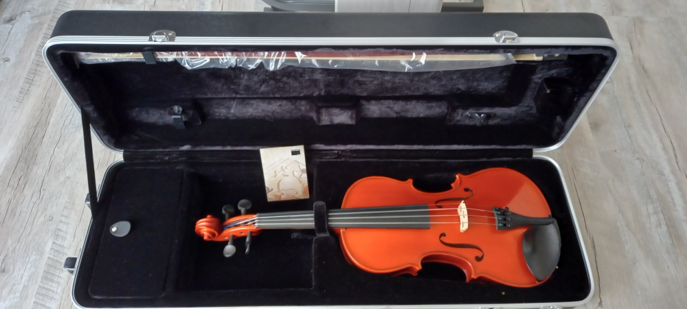 Violon 4/4 Gewa Pure CVK Violin Case