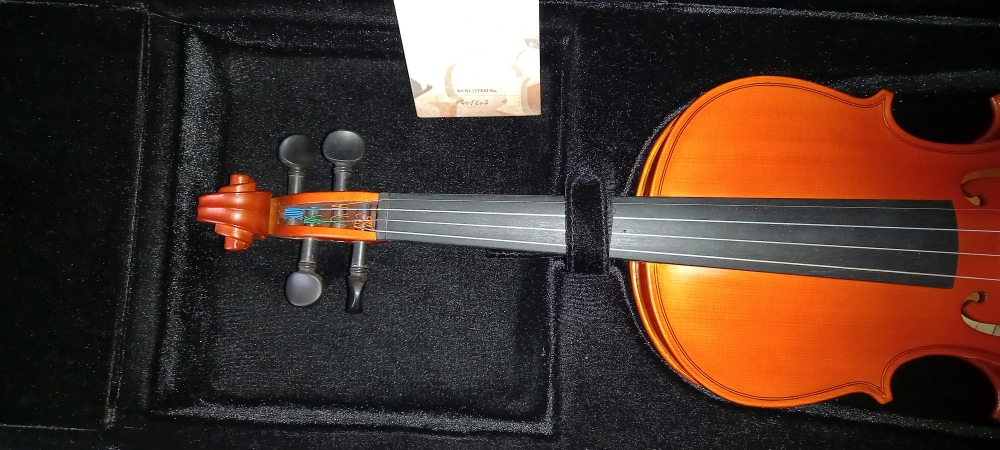 Violon 4/4 Gewa Pure CVK Violin Case