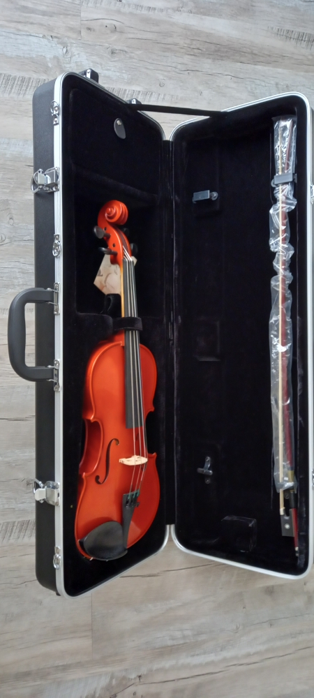 Violon 4/4 Gewa Pure CVK Violin Case