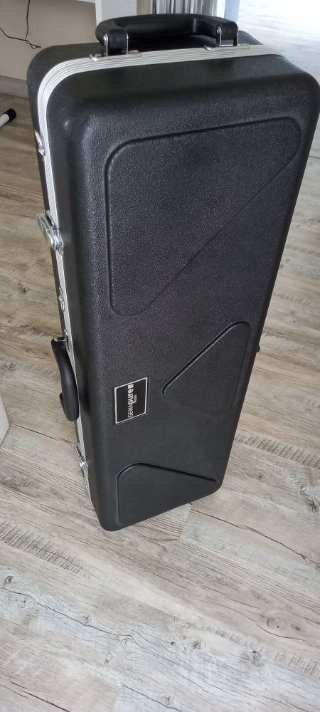 Violon 4/4 Gewa Pure CVK Violin Case