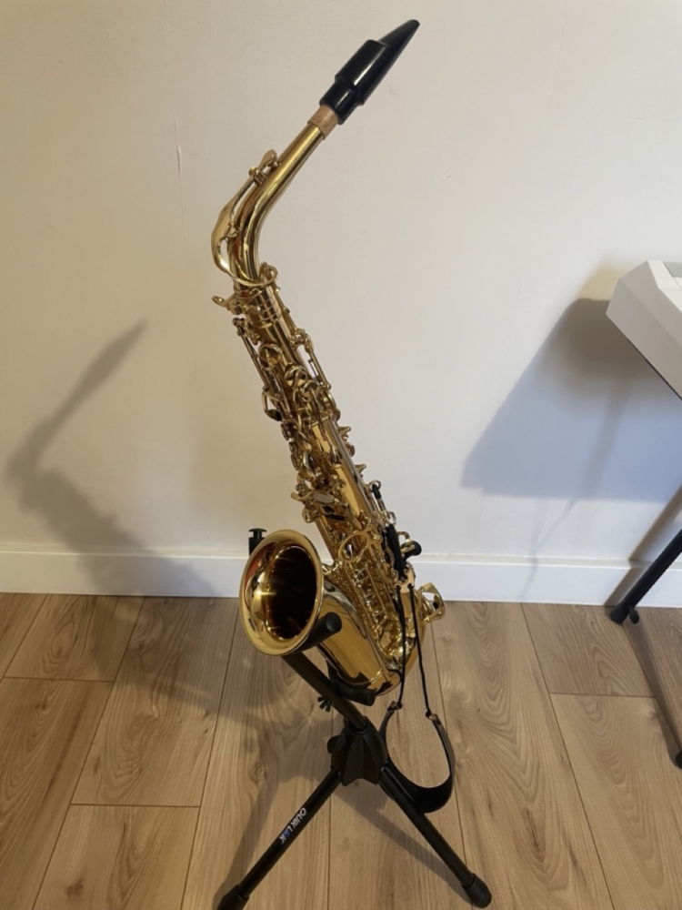 Saxophone alto Woodbrass WSA100