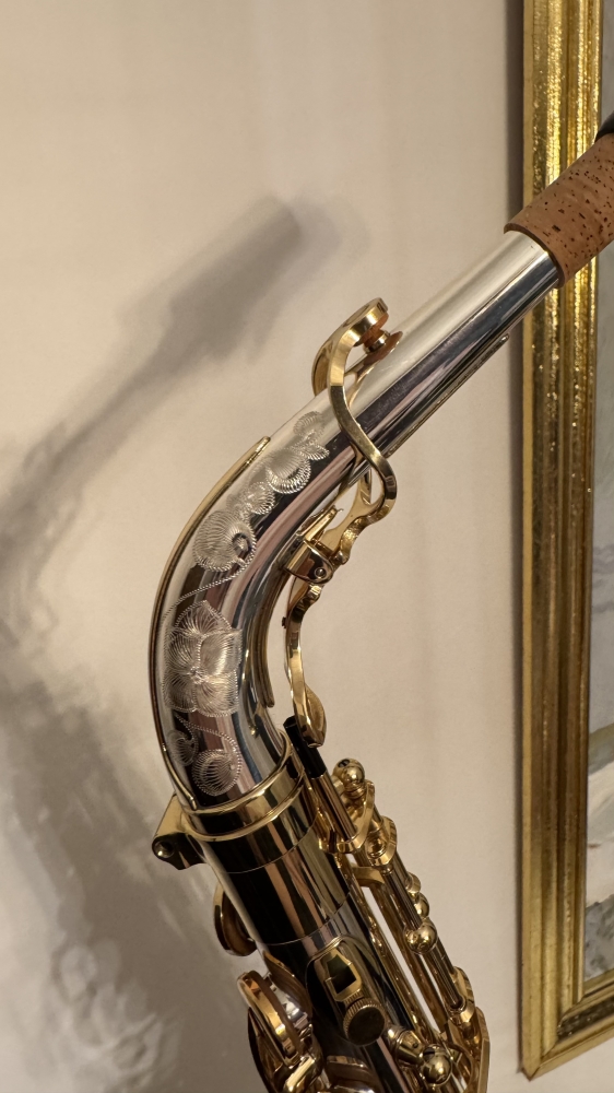 Saxophone alto Yanagisawa A-W037