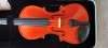 Violon 4/4 Gewa Pure CVK Violin Case