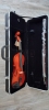 Violon 4/4 Gewa Pure CVK Violin Case