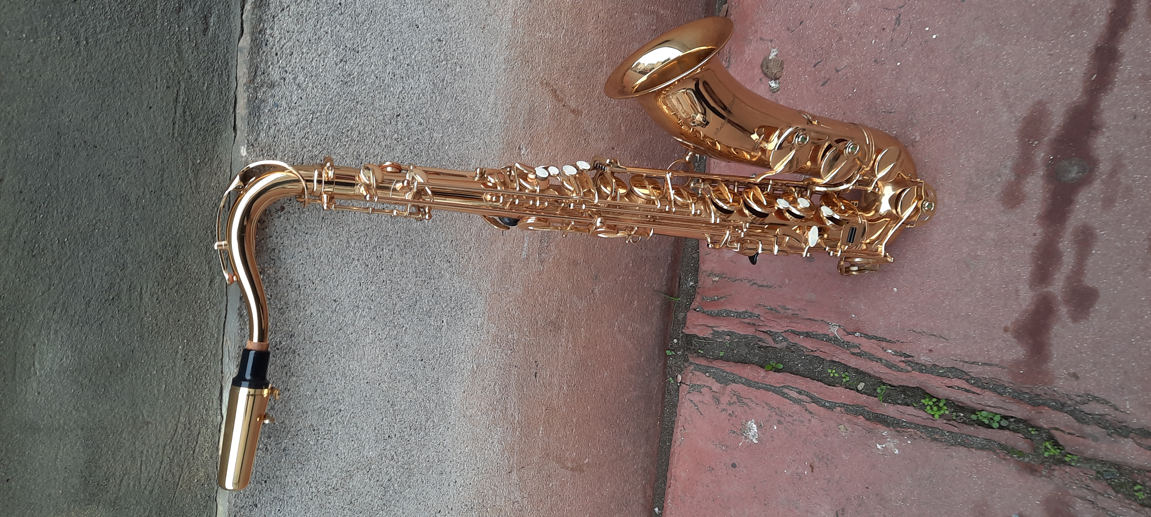 Acheter Saxophone ténor Antigua Winds Très bon état - 450,00 € Saxophone ténor Antigua Winds Très bon état - reconditionné disponible sur Zic Ethic