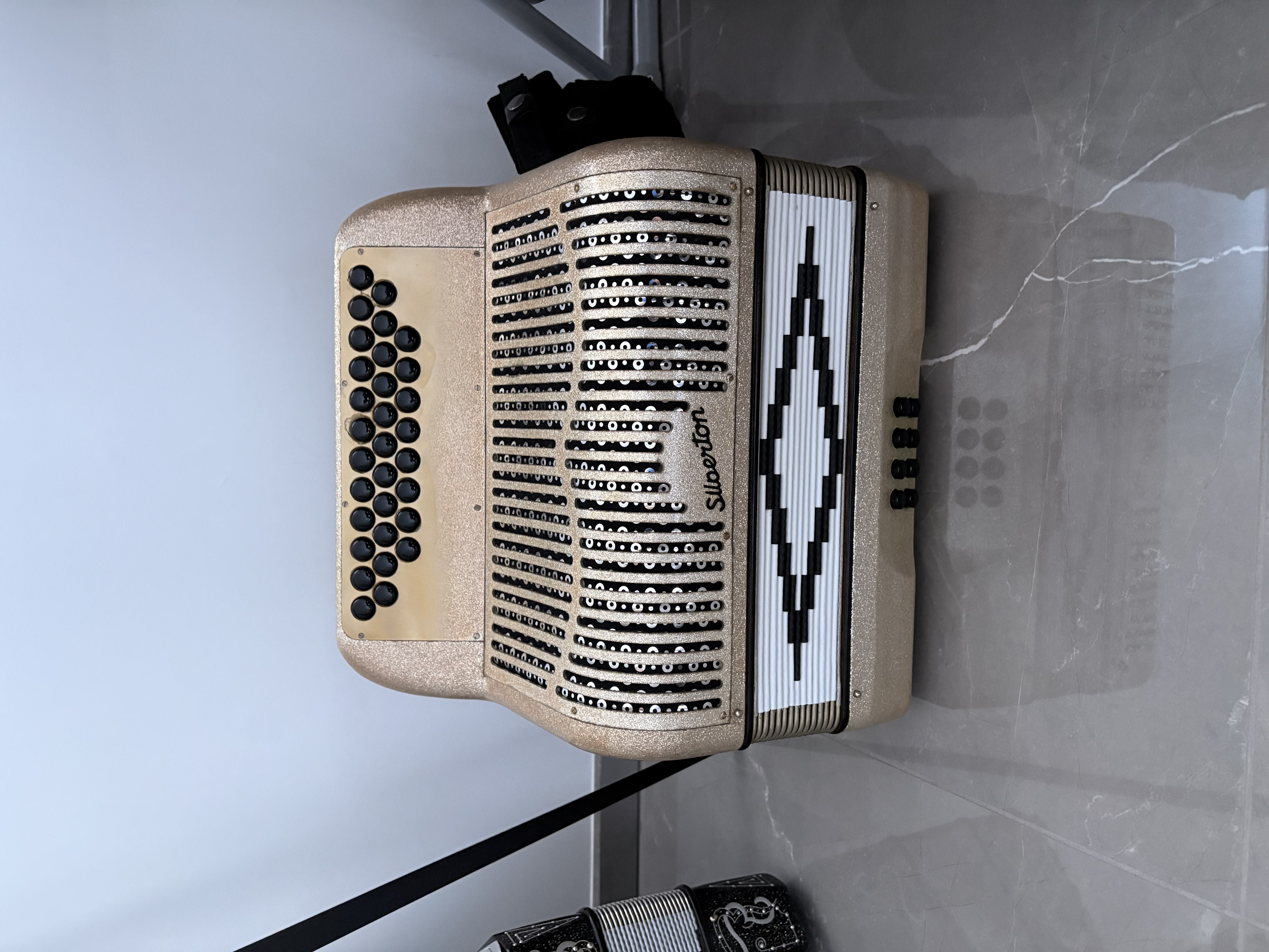 Acheter Accordéon diatonique Silberton Très bon état - 1450,00 € Accordéon diatonique Silberton Très bon état - reconditionné disponible sur Zic Ethic