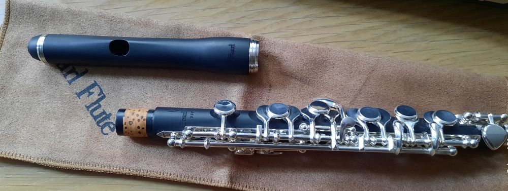 Flûte piccolo Pearl PFP 105E