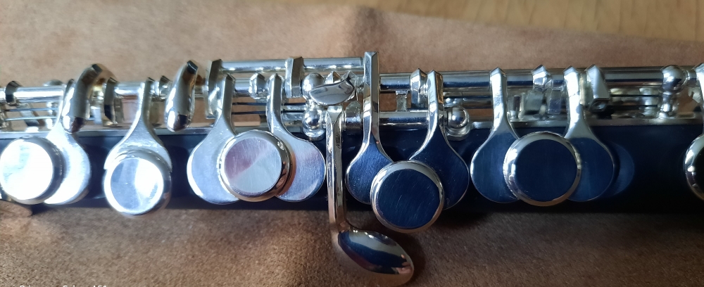 Flûte piccolo Pearl PFP 105E