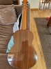 Guitare classique Jean-Marie Fouilleul