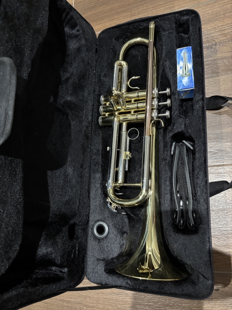 Trompette Sib SML TP300 SML
